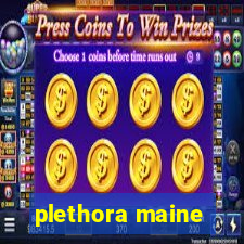 plethora maine